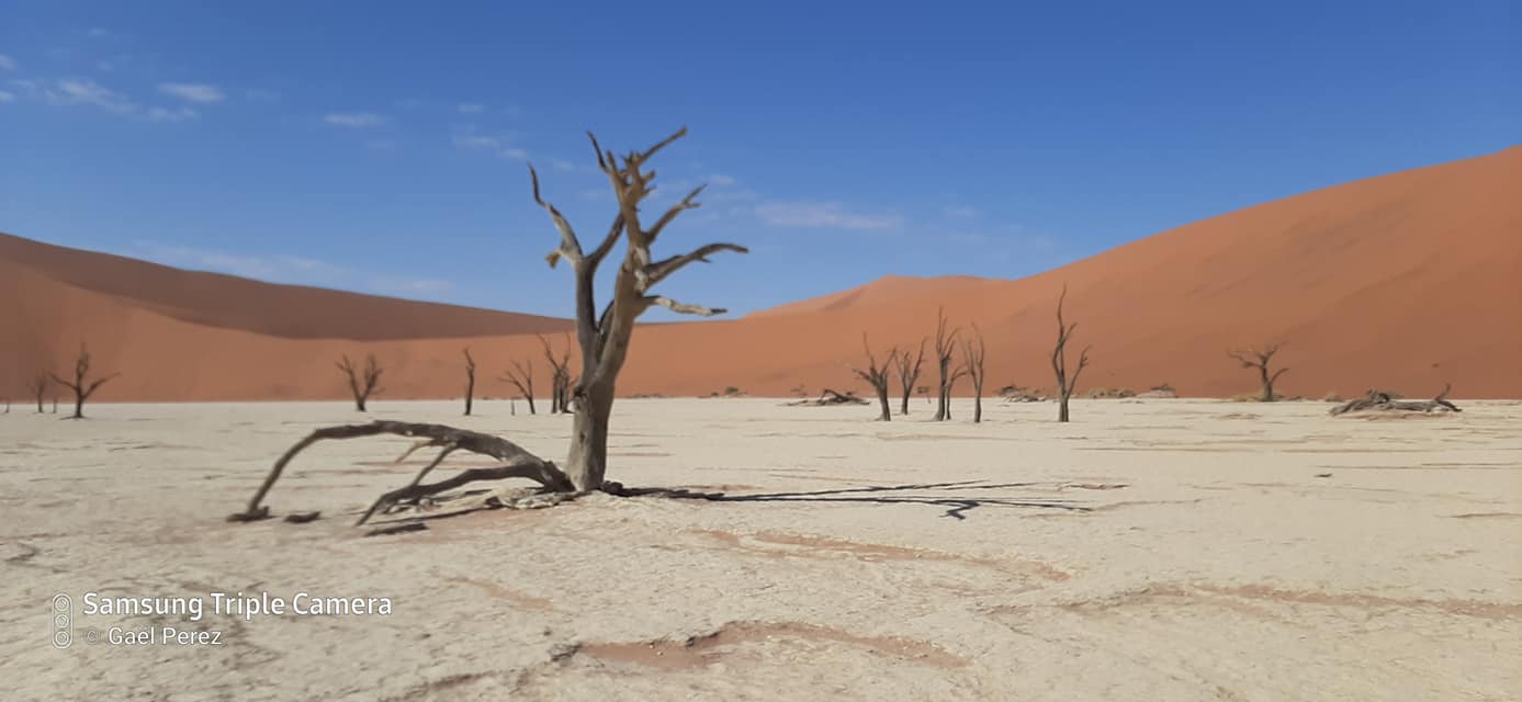 Namibie : Aux confins du plus vieux désert du Monde